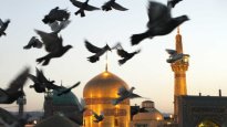 مشهدم امام رضا ع.jpg