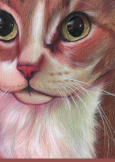 Screenshot_۲۰۲۰-۰۷-۱۱-۰۰-۳۰-۱۱-1.png