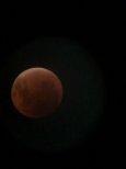 IMG_20250907_234934_764.jpg
