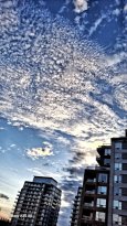 IMG_20251017_140502_928.jpg