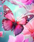 butterflies__lover_14030816_074434362.jpg