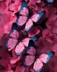 butterflies__lover_14030816_074434293.jpg