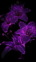 1l032drh.webp