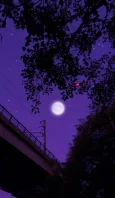 1kh305jh.webp