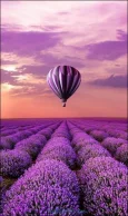 بک-گراند-بنفش-1.webp