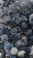 1l2m9e1d.webp