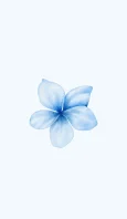 1l69ondf.webp