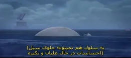 1000017767.webp