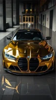 Untitled-12.webp