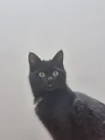 ۲۰۲۵۰۱۲۷_۱۶۵۹۴۱.webp