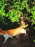 1000043186.webp