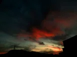 4584.webp