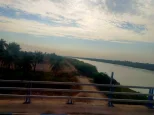 4596.webp