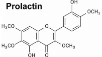 prolactin.webp prolactin.webp