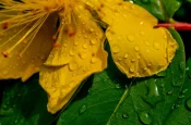 Screenshot_20260610-110135_ChatGPT.webp