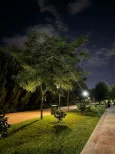 7632.webp