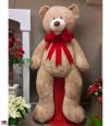 Valentine-Bear-for-gifts-khers-shaskhin-987rh408j93p8th3-36.jpg