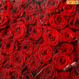 عکس متحرک گل رز قرمز عاشقانه.gif