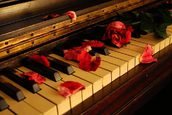 flowers-piano-roses-rose-red-love-white-black-music-flower-hd-live-wallpaper.png