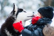 Husky-with-children.jpg