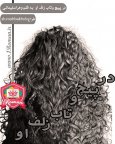 در پیچ وتاب زلف او.jpg