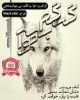 گرگم به هوا.jpg