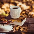 Photo-of-autumn-cup-12.jpg