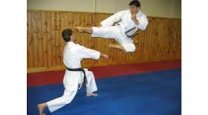 تاریخچه کاراته در جهان | Tiam Institute