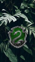 slytherin-4-500x890.jpg