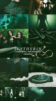 slytherin-6-500x890.jpg