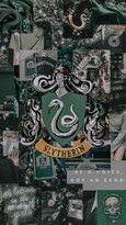 slytherin-5-500x889.jpg