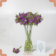 purple-alstroemeria-1.jpg purple-alstroemeria-1.jpg