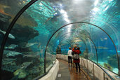 iranwatching-1530-1598683775-kish-aquarium.jpg