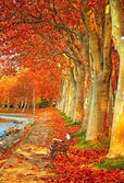 Autumn-Wallpaper-16.jpg