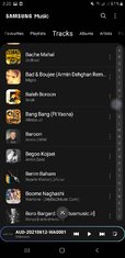 Screenshot_20210829-032037_Samsung Music.jpg
