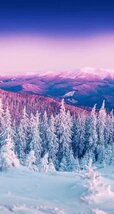 winter-wallpaper2-547x1024.jpg