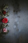 full_red-rose-background-4.jpg