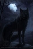 wolf-and-moon-2.jpg