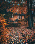 fall-pictures2-8.jpg