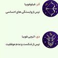 persian.astrology_14000813_153850475.jpg