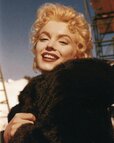 marilynmonroe_star_14000823_134848321.jpg