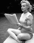 marilyn.monroedaily_14000902_160945843.jpg