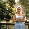 marilyn.monroedaily_14000823_175401661.jpg