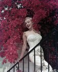 marilyn.monroedaily_14000820_145030109.jpg