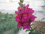 IMG-20220208-WA0038.jpg IMG-20220208-WA0038.jpg