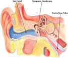 swimmer-ear-disease-02.jpg