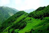 جنگل-های-ارسباران-یکی-از-بکرترین-جنگل-ه.jpg
