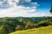 BwindiNationalForest-Uganda-GettyImages-867516428.jpg