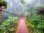 monteverde-cloud-forest-costa-rica-GettyImages-467010064.jpg