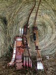 Beautiful bows and quiver.jpg